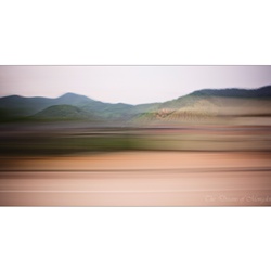 dailyPhoto4